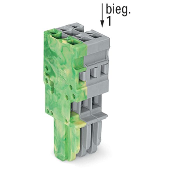 1-conductor female connector CAGE CLAMP® 4 mm² gray, green-yellow image 3