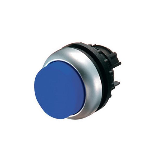 Illuminated pushbutton actuator, RMQ-Titan, Extended, maintained, Blue, Blank, Bezel: titanium image 4