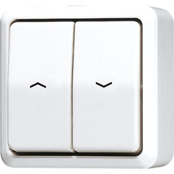 2-gang blind switch/push-button 10 AX 609VAWW image 1