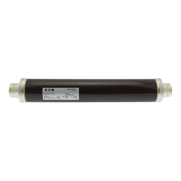 Fuse-link, medium voltage, 100 A, AC 24 kV, 3", 76 x 442 mm, back-up, DIN, with striker image 5