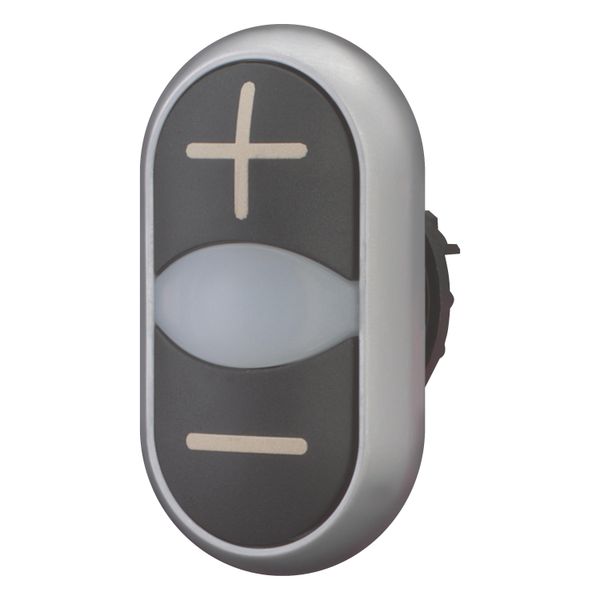 Double actuator pushbutton, RMQ-Titan, Actuators and indicator lights non-flush, momentary, White lens, black, black, inscribed, Bezel: titanium image 3