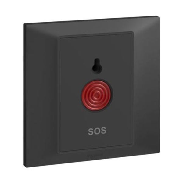 Belanko S security switch - 1A - Anthracyte image 1