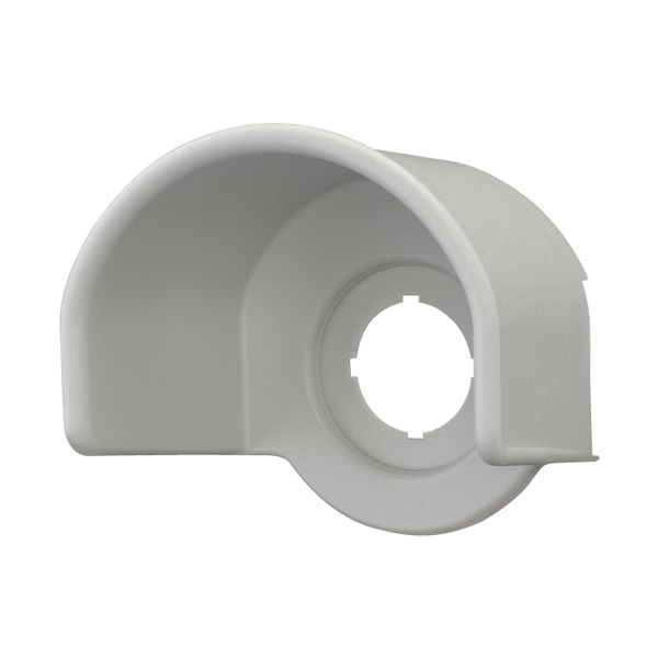 Guard-ring, gray image 3