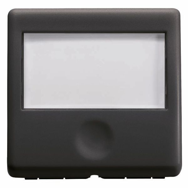 PUSH-BUTTON WITH BACKLIT NAME PLATE 250V ac - NO 10A - 2 MODULES - SYSTEM BLACK image 2