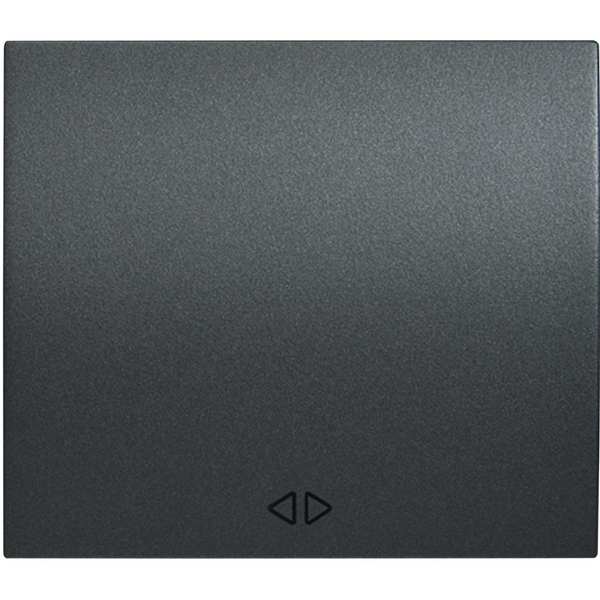 Thea Blu Accessory Black Intermediate Switch image 1