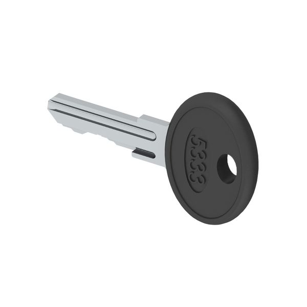 2 Keys 5333 (identical key) for half-cylinder insert image 1