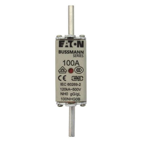 Fuse-link, LV, 100 A, AC 500 V, NH0, gL/gG, IEC, dual indicator, live gripping lugs image 9