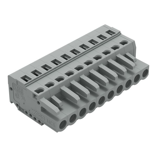 1-conductor female connector CAGE CLAMP® 2.5 mm² gray image 1