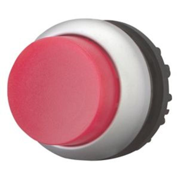 Illuminated pushbutton actuator, RMQ-Titan, Extended, momentary, red, Blank, Bezel: titanium image 2