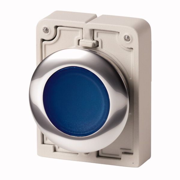 Illuminated pushbutton actuator, RMQ-Titan, Flat, momentary, Blue, Blank, Metal bezel image 1