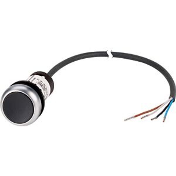Pushbutton, Flat, momentary, 1 NC, Cable (black) with non-terminated end, 4 pole, 1 m, black, Blank, Bezel: titanium image 5