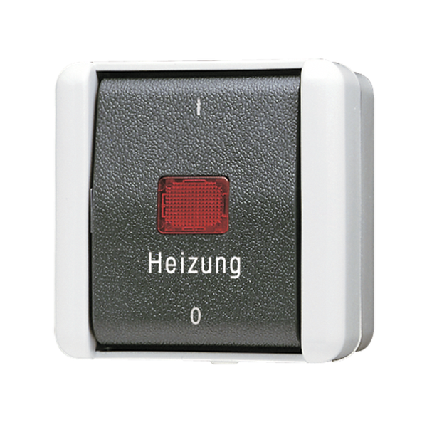 1-gang switch "Heizung" 10 AX / 250 V ~ 802HW image 1