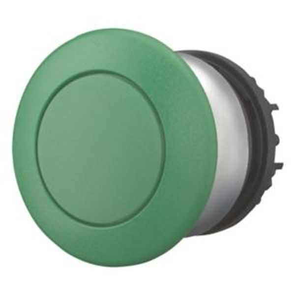 Mushroom actuator, RMQ-Titan, Mushroom, momentary, Mushroom green, green, Blank, Bezel: titanium image 2