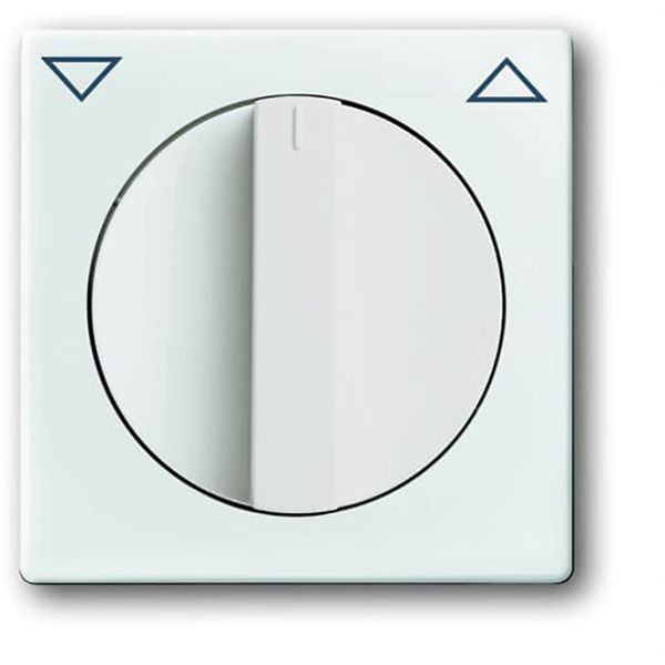 1740-84 CoverPlates (partly incl. Insert) future®, Busch-axcent®, solo®; carat® Studio white image 1