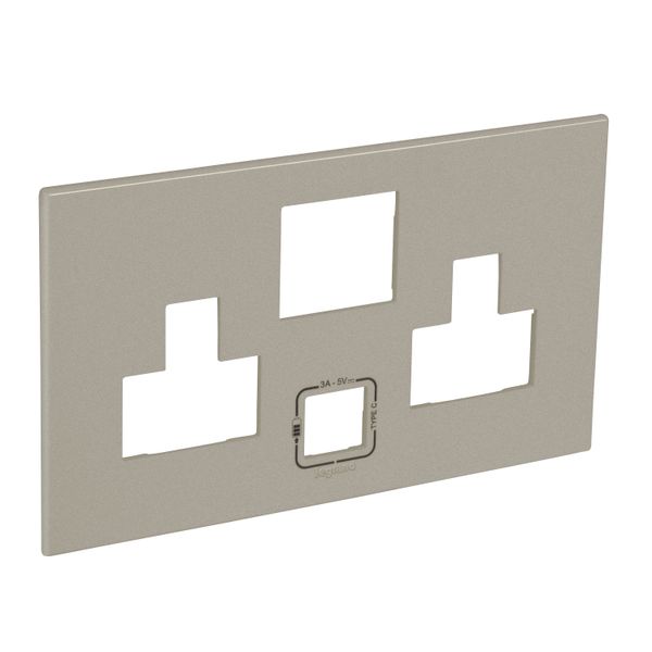 Special plate for multistandard 2x2P+E switched 2 gang socket outlet Arteor with USB charger - champagne image 1