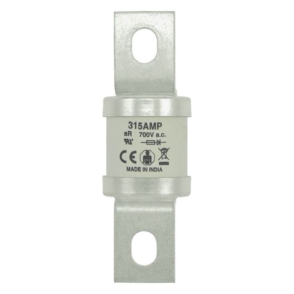 5.5KV 125E BHLE FUSE image 22