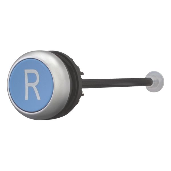 Release pushbutton, blue, R image 4