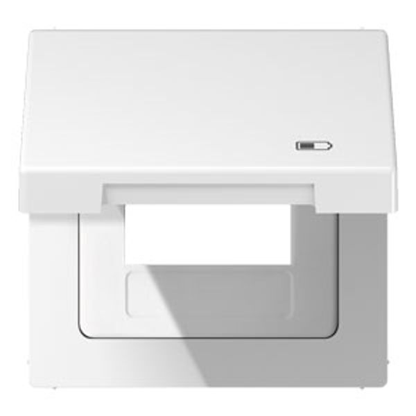 Hinged lid USB with centre plate LS990BFKLUSBWW image 1