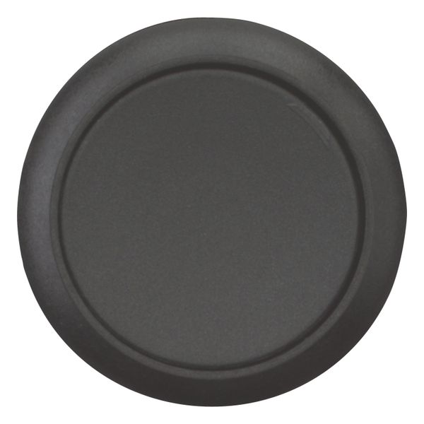 Pushbutton, Flat, momentary, 2 NC, Screw connection, black, Blank, Bezel: black image 4