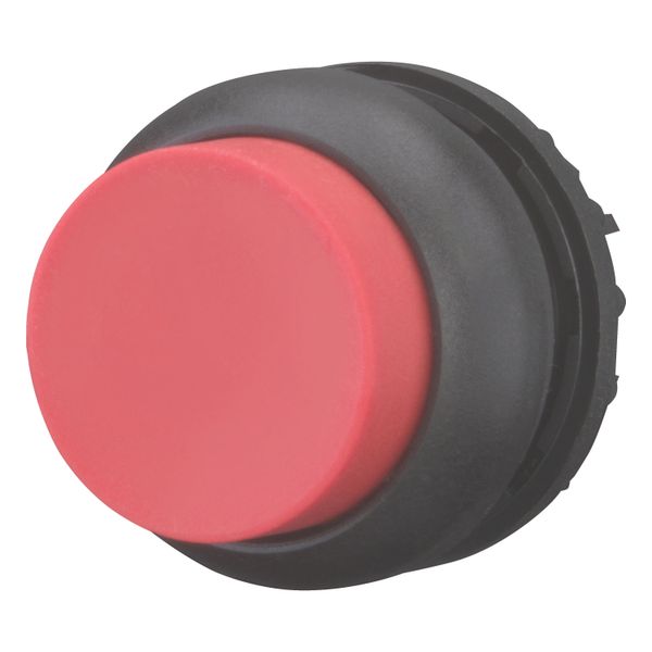 Pushbutton, RMQ-Titan, Extended, momentary, red, Blank, Bezel: black image 3