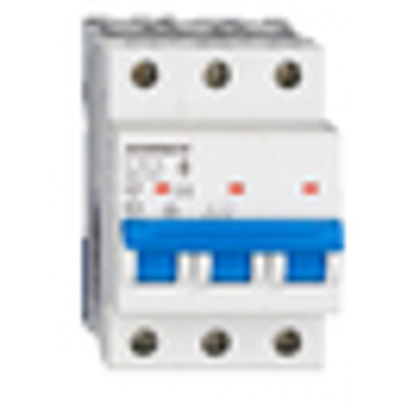 Miniature Circuit Breaker (MCB) AMPARO 6kA, C 13A, 3-pole image 6