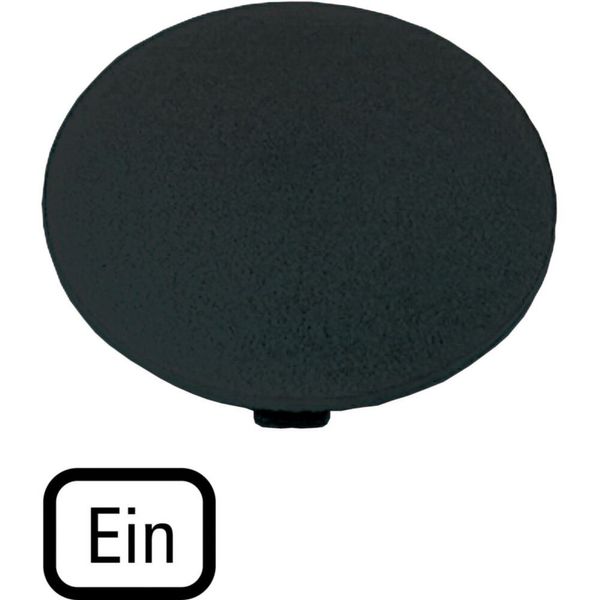 Button plate, mushroom black, ON image 3