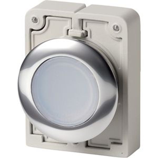 Illuminated pushbutton actuator, RMQ-Titan, Flat, momentary, White, Blank, Metal bezel image 8