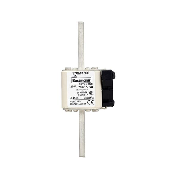 Fuse-link, high speed, 250 A, AC 690 V, compact size 1, 45 x 59 x 148 mm, aR, IEC, UL, single indicator image 10