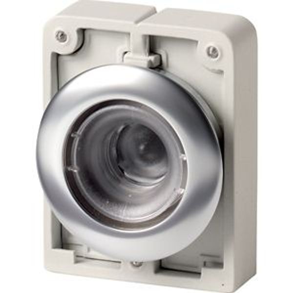 Illuminated pushbutton actuator, RMQ-Titan, flat, maintained, Front ring stainless steel image 2