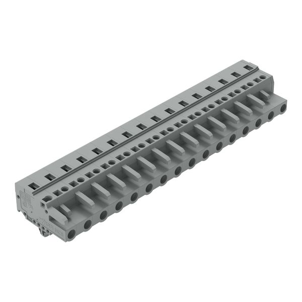 1-conductor female connector CAGE CLAMP® 2.5 mm² gray image 6