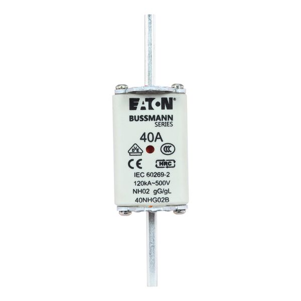 Fuse-link, LV, 40 A, AC 500 V, NH02, gL/gG, IEC, dual indicator, live gripping lugs image 22