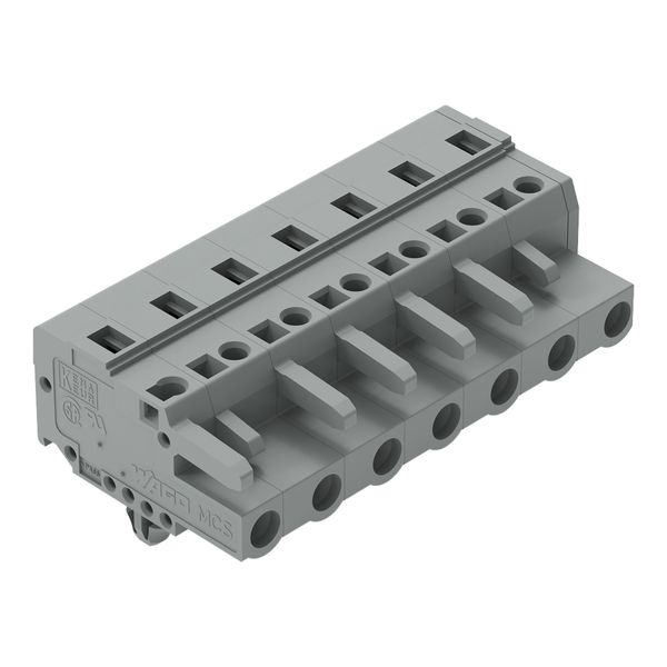 1-conductor female connector CAGE CLAMP® 2.5 mm² gray image 1