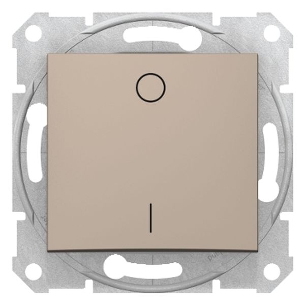 Sedna - 2 poles switch - 10AX, without frame, titanium image 1