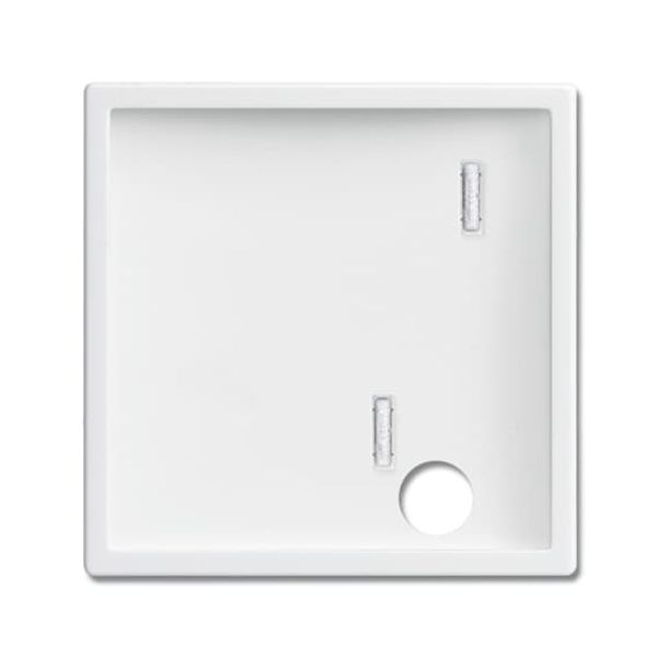 2548-046 A-84 CoverPlates (partly incl. Insert) future®, Busch-axcent®, solo®; carat® Studio white image 2