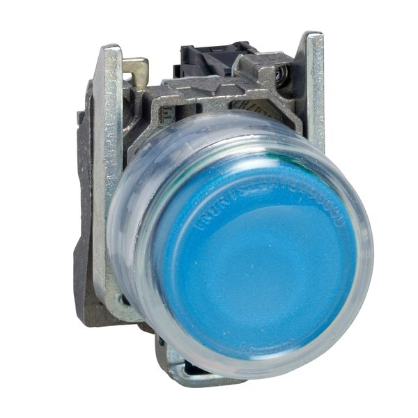 ATEX PUSHBUTTON image 1