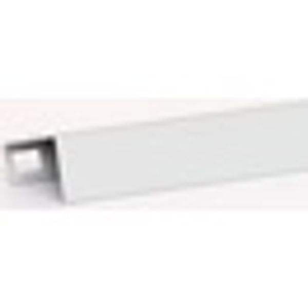 19" cover/holder for LED lighting unit DV900337, 1U, RAL7035 image 2