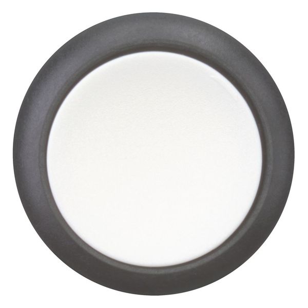 Pushbutton, RMQ-Titan, Flat, maintained, White, Blank, Bezel: black image 3