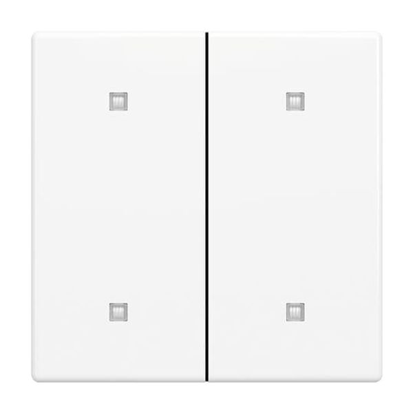 6540-24 Cover Plate for Dimmer Turn button Without imprint studio white matt image 1