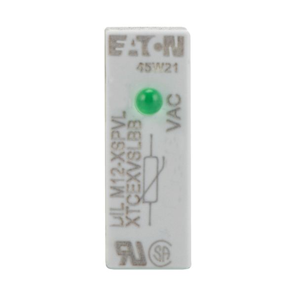 Varistor suppressor circuit, 130 - 240 AC V, For use with: DILM7 - DILM12, DILMP20, DILA image 7