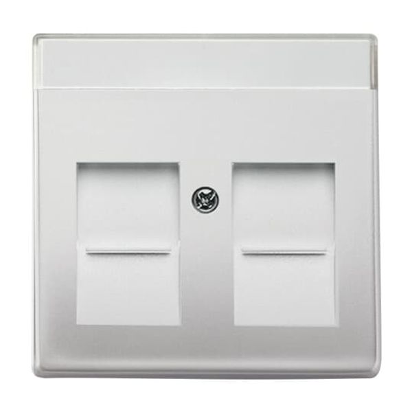 1746/10-866 CoverPlates (partly incl. Insert) pure stainless steel Stainless steel image 3