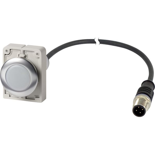 Indicator light, Flat, Cable (black) with M12A plug, 4 pole, 1 m, Lens white, LED white, 24 V AC/DC image 3