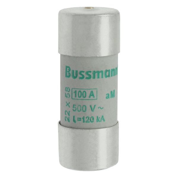 Fuse-link, LV, 100 A, AC 500 V, 22 x 58 mm, aM, IEC, with striker image 17