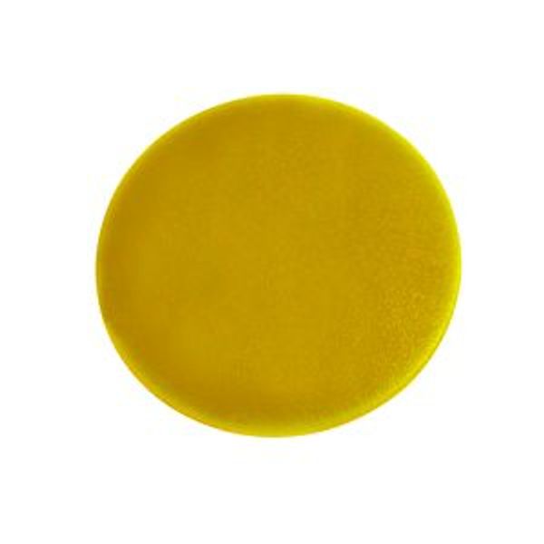 Button plate, mushroom yellow, blank image 6