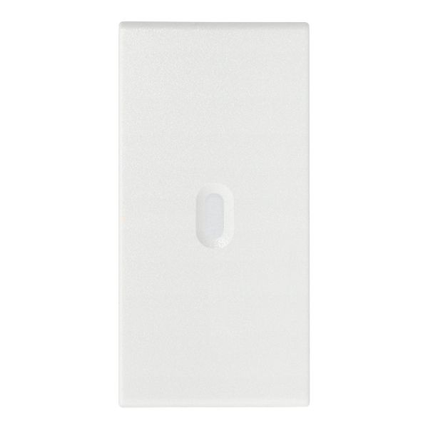 Axial button 1M white image 1