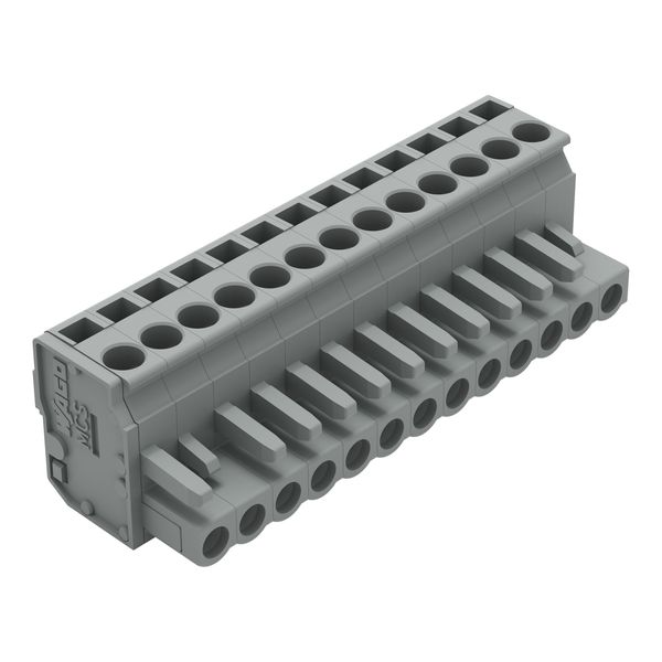 1-conductor female connector, angled CAGE CLAMP® 2.5 mm² gray image 1