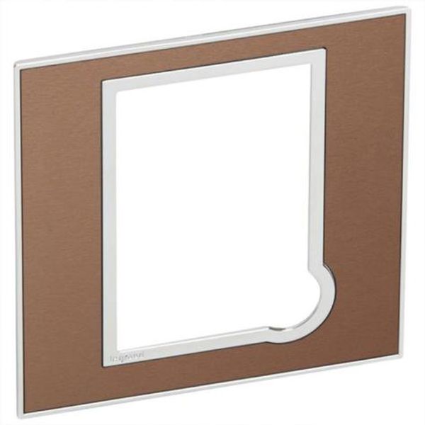 Arteor™ - British standard plate for 13 A fused connection unit - Brushed Metal - Pink Champagne image 1