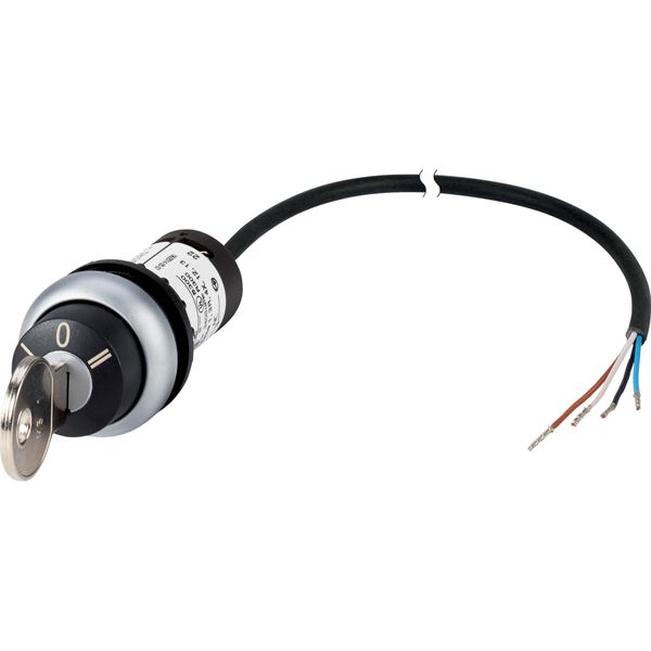 Key-operated actuator, RMQ compact solution, maintained, 2 NC, Cable (black) with non-terminated end, 4 pole, 1 m, 3 positions, MS1, Bezel: titanium image 3