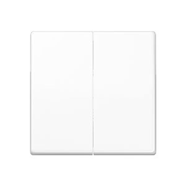 Standard center plate for dimmer ABAS1565.07WW image 1