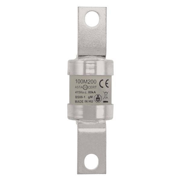 Fuse-link, low voltage, AC 415 V, BS88/A4, 31 x 110 mm, gM, BS image 23