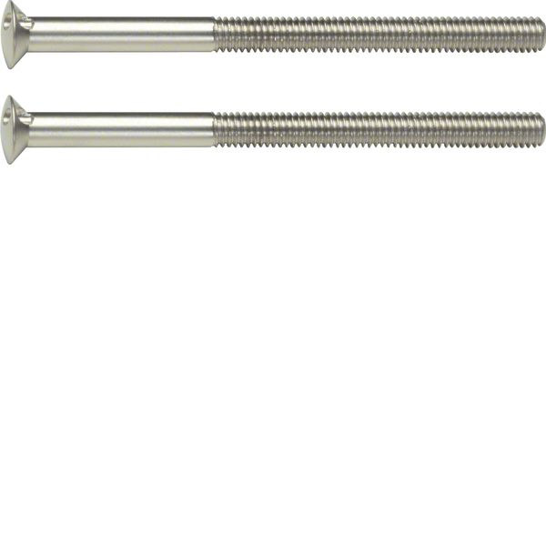 Two-hole screws 2 x M3.5 x 50 mm, TS, stainless steel matt, brushed ni image 1